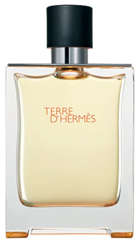 Hermès Terre d’Hermes Apă de toaletă 100 ml